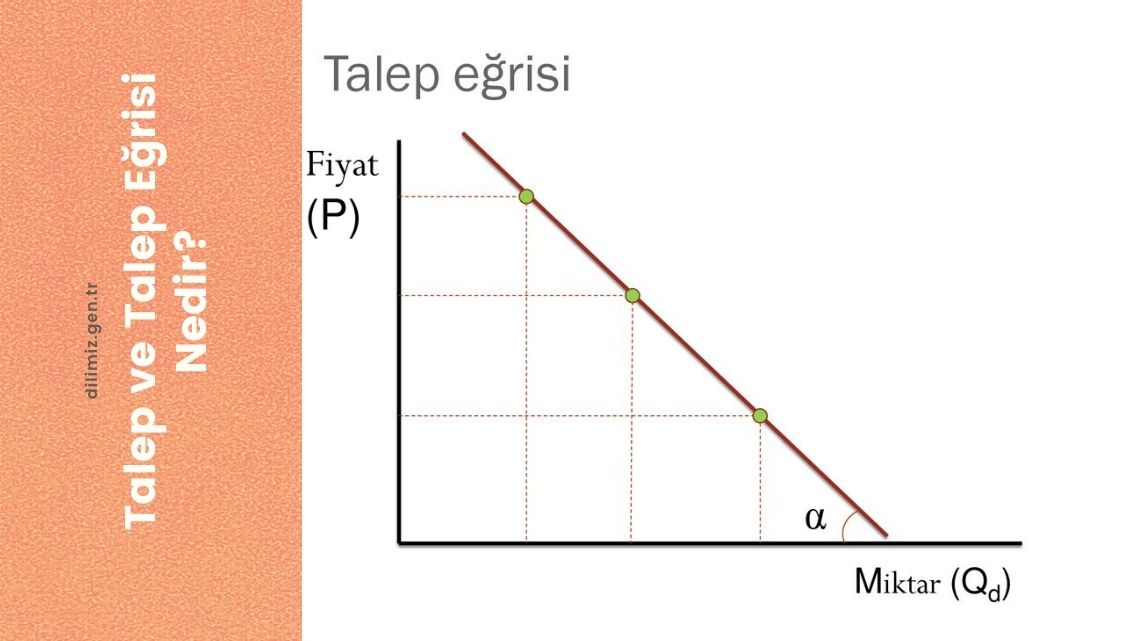 Talep ve Talep Eğrisi Nedir?