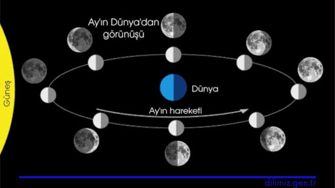 Ayın periyodik hareketleri