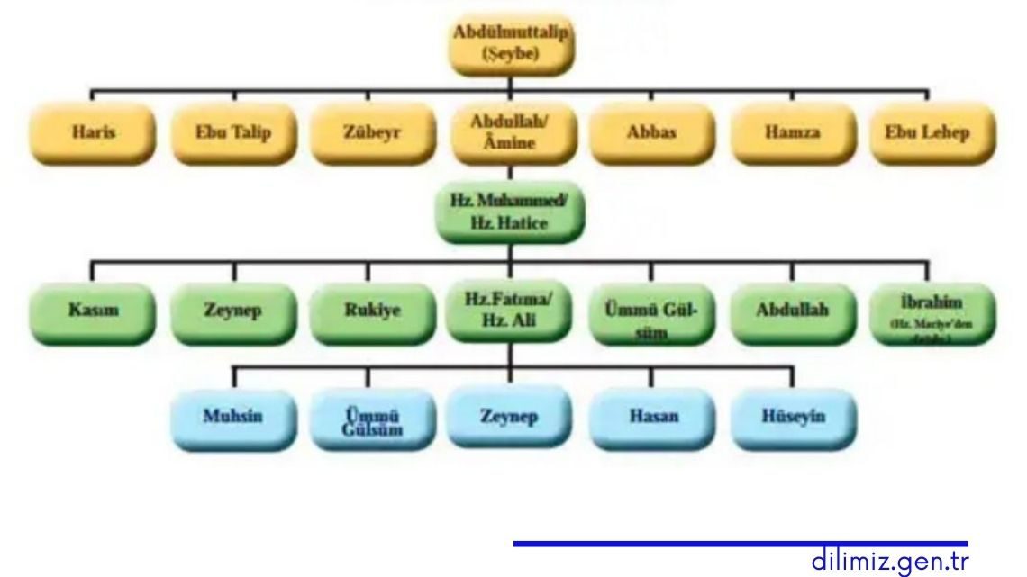 Hz. Peygamber’in Hz. İbrahim’e dayanan pak nesebi