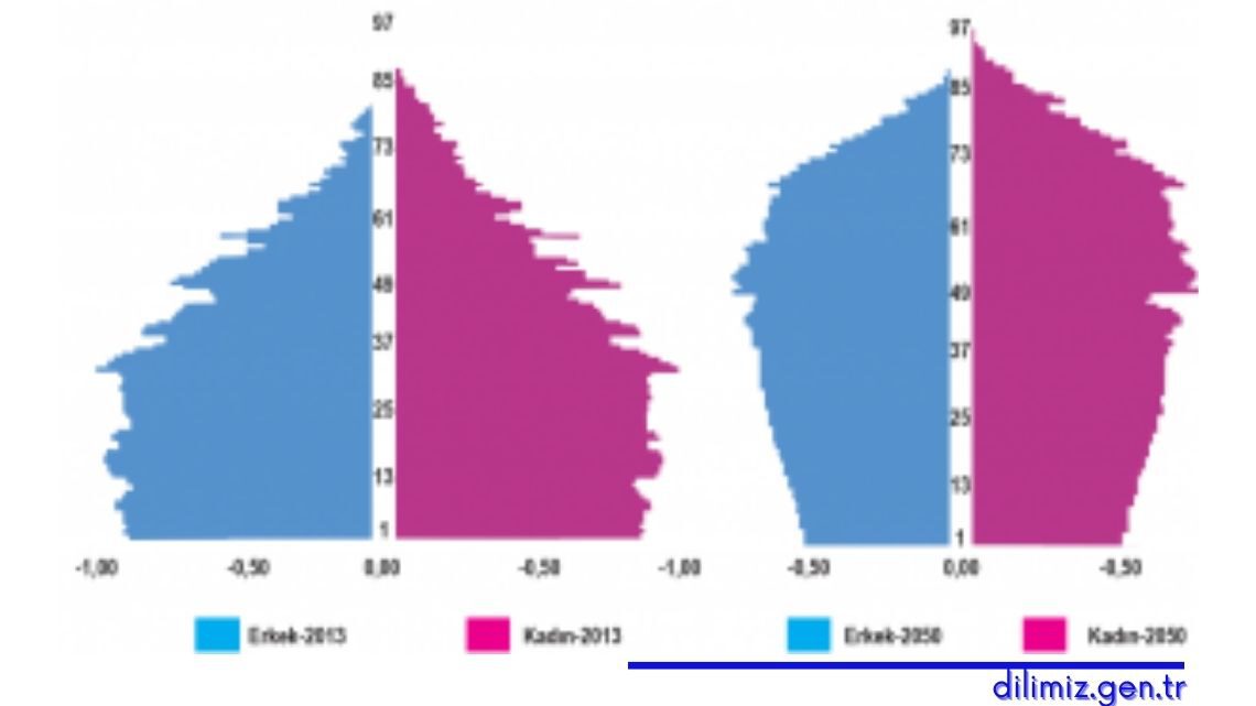Türkiye’nin 2013’te ölçülen ve 2050’de sahip olması beklenen yaş piramitleri