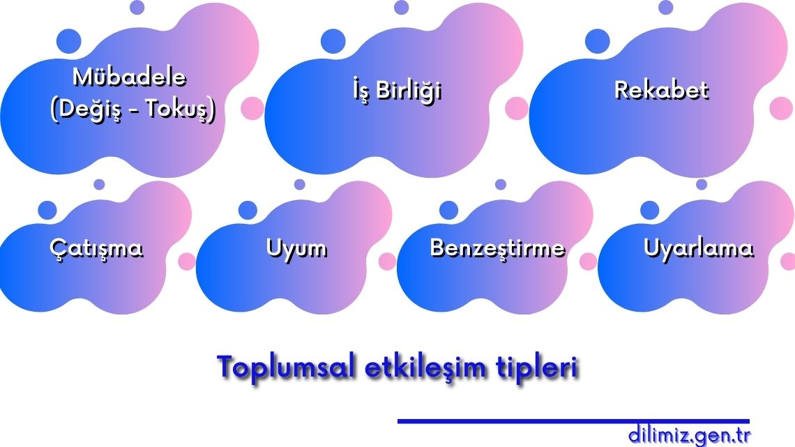 Toplumsal etkileşim tipleri