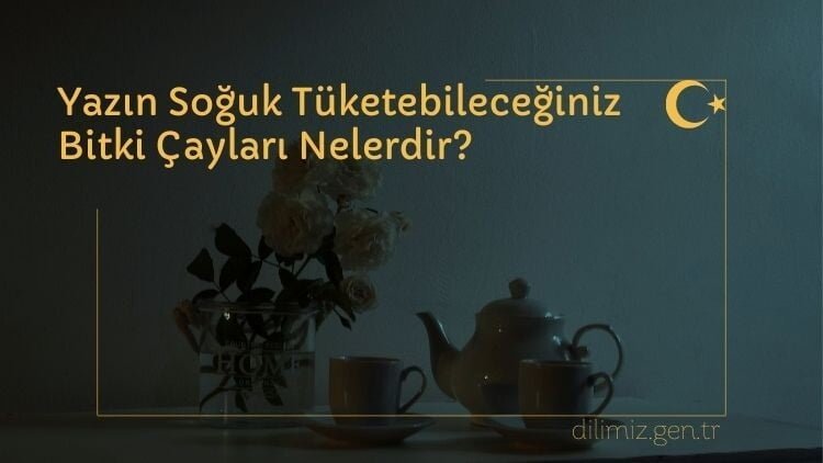 Yazın Soğuk Tüketebileceğiniz Bitki Çayları Nelerdir?