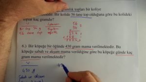 Ağırlık Problemleri