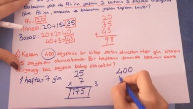 Matematik Problem Çeşitleri Ve Çözüm Teknikleri