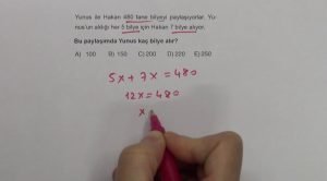 Sayı Problemleri Çözüm Teknikleri