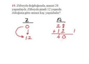 Yaş Problemleri Çözüm Teknikleri