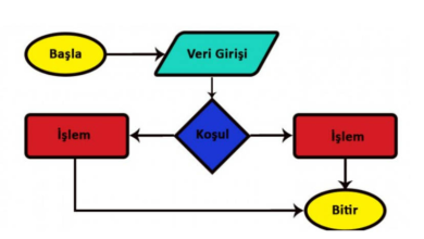 Algoritma Nedir