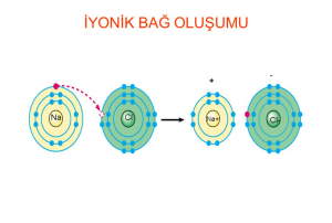 Kimyasal Türler Arası Etkileşimler