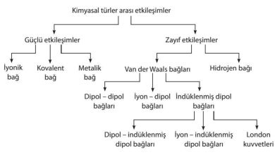 Kimyasal Türler Arası Etkileşimler