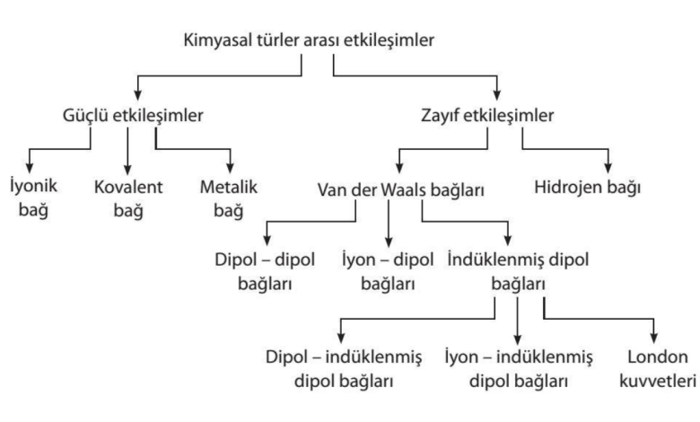 Kimyasal Türler Arası Etkileşimler