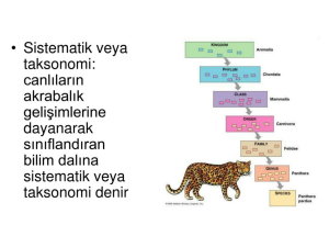 Taksonomi Nedir