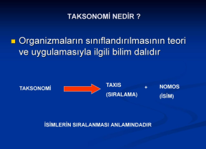 Taksonomi Nedir