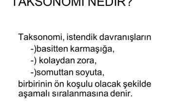 Taksonomi Nedir