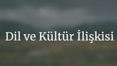 Dil Kültür İlişkisi